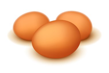 egg27 resmi