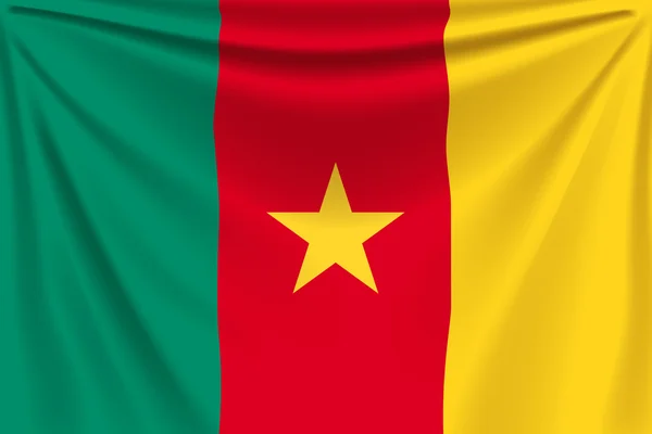 Z powrotem flaga Kamerunu — Wektor stockowy