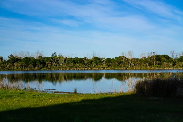 Lago Rodeado Árboles Salvajes Plantas Bajo Cielo Azul — Foto de Stock