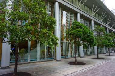 Kanagawa Bölgesi Japonya - 13 Eylül 2019 Yokohama civarında yürüyüş