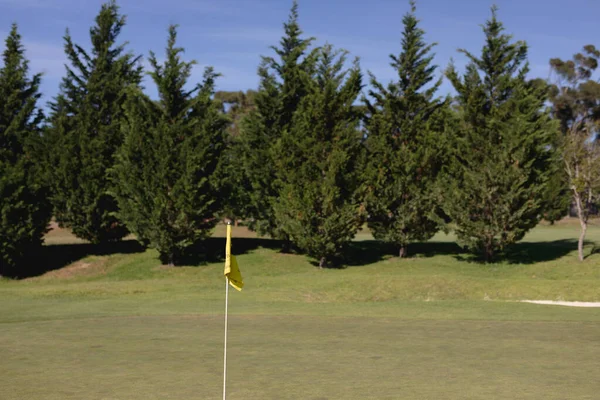Bandeira Amarela Verde Num Campo Golfe Esporte Lazer Hobbies Golfe — Fotografia de Stock