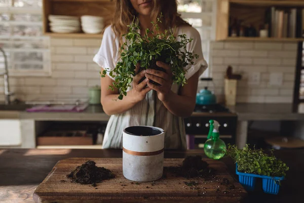 Midsection Plantas Caucasian Potting Mulher Que Estão Cozinha Ensolarada Casa — Fotografia de Stock