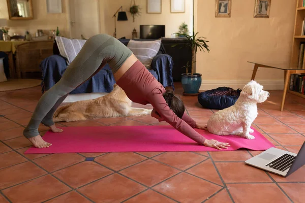 Caucasian Woman Living Room Her Pet Dogs Practicing Yoga Using — Stock Photo, Image