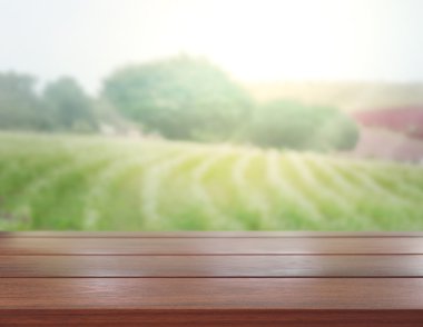 Masa üstü ve arka plan bulanıklık doğa