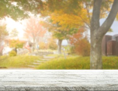 Masa üstü ve arka plan bulanıklık doğa