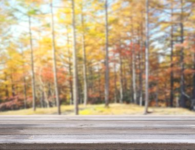 Masa üstü ve arka plan bulanıklık doğa