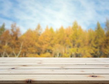 Masa üstü ve arka plan bulanıklık doğa