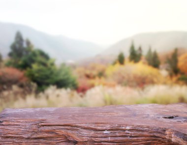 Masa üstü ve arka plan bulanıklık doğa