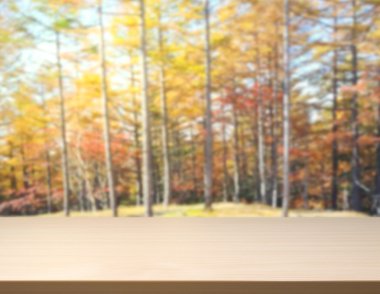 Masa üstü ve arka plan bulanıklık doğa