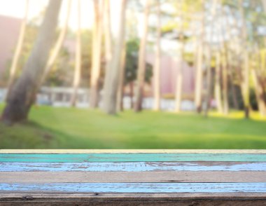 Masa üstü ve arka plan bulanıklık doğa