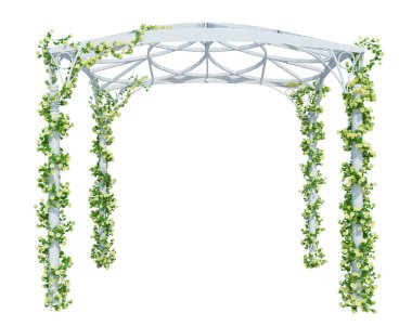 3d Render Ivy Bitkileri beyaz arkaplanda izole edildi