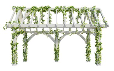 3d Render Ivy Bitkileri beyaz arkaplanda izole edildi