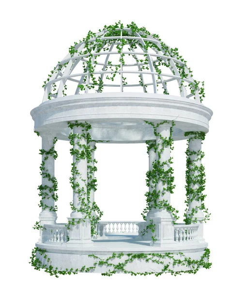 Render Ivy Plants Isoliert Auf Weißem Hintergrund — Stockfoto