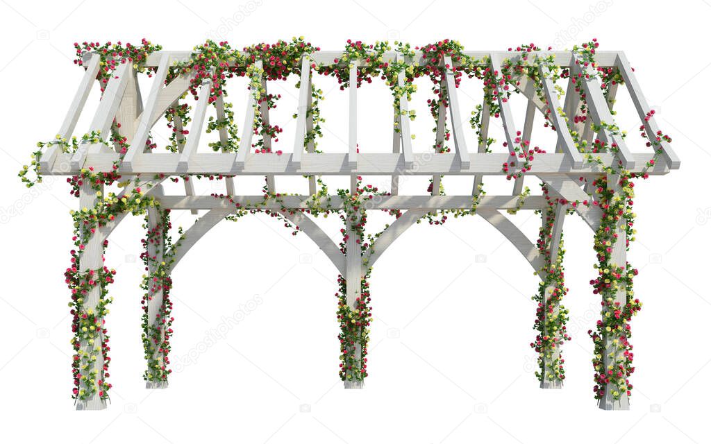 3d Render Ivy Plants  Isolated  on white background