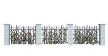 3d Render Ivy Bitkileri beyaz arkaplanda izole edildi
