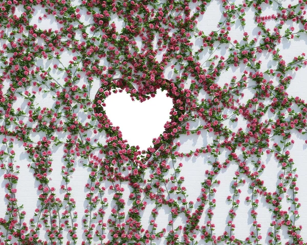 3D在白色背景上分离的常春藤植物 — 图库照片