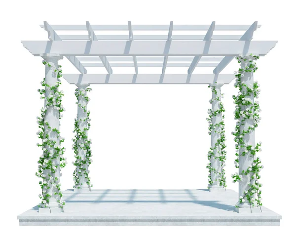Render Ivy Plants Isoliert Auf Weißem Hintergrund — Stockfoto