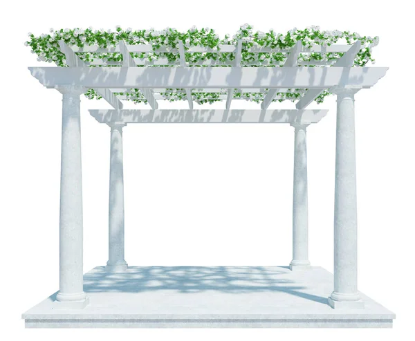 Render Ivy Växter Isolerad Vit Bakgrund — Stockfoto
