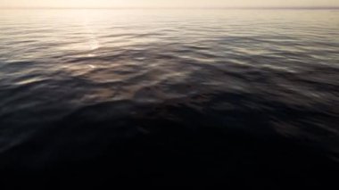 Deniz dalgalarının 3 boyutlu animasyonu. Su hareketi.