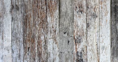 Ağaç kabuğu dokusu