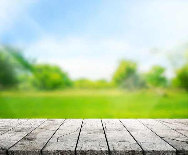 Wood Table  Top Background and Green 3d render — Stock Photo, Image