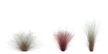 3d Render Brush Tree Isolated  on white