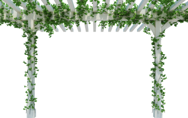 3d Sarmaşık Bitkilerini beyaza ayır