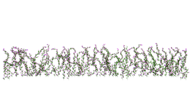 3d Sarmaşık Bitkilerini beyaza ayır