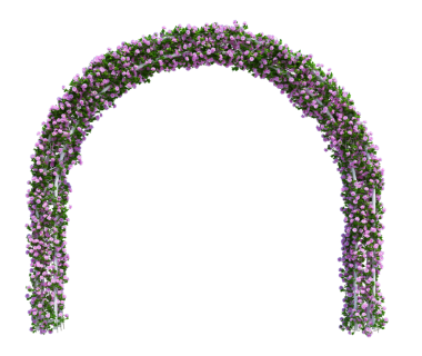 3d Sarmaşık Bitkilerini beyaza ayır