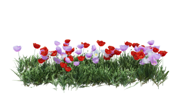 3d Render Brush Tree Isolated  on white