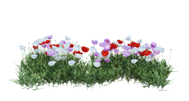 3d Render Brush Tree Isolated  on white