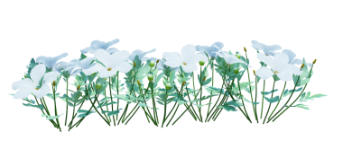 3d Render Brush Tree Isolated  on white