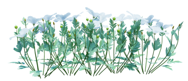 3d Render Brush Tree Isolated  on white