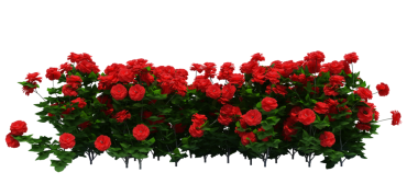 3d Render Brush Tree Isolated  on white