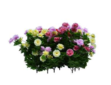 3d Render Brush Tree Isolated  on white