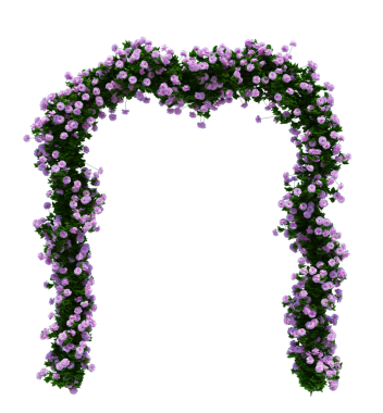 3d Render Brush Tree Isolated  on white