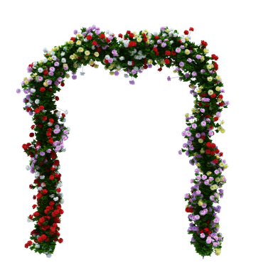 3d Render Brush Tree Isolated  on white