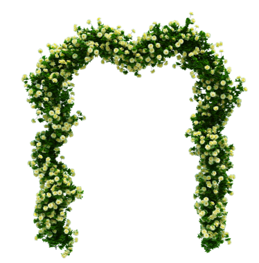 3d Render Brush Tree Isolated  on white