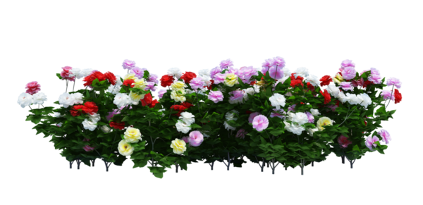 3d Render Brush Tree Isolated  on white