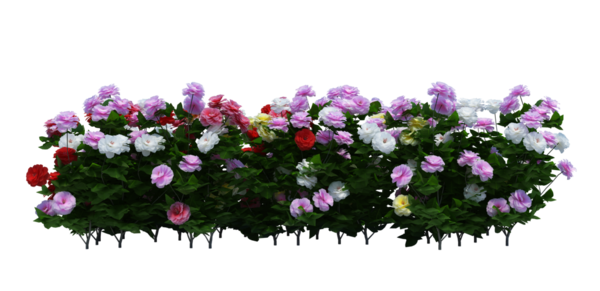 3d Render Brush Tree Isolated  on white