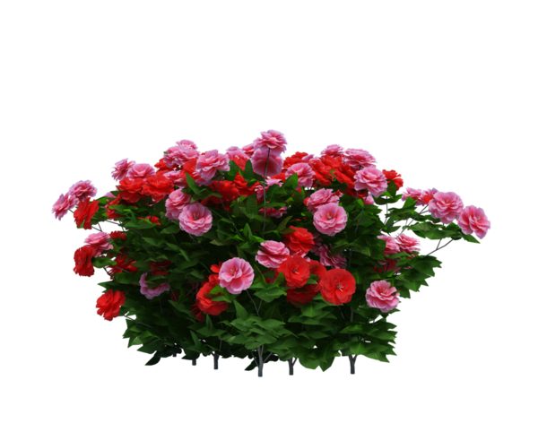 3d Render Brush Tree Isolated  on white