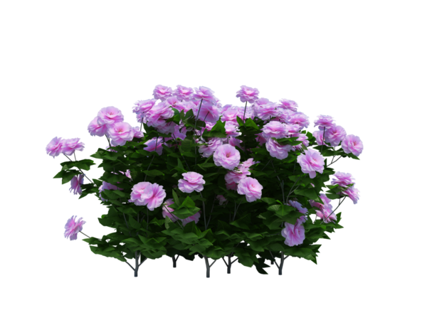 3d Render Brush Tree Isolated  on white