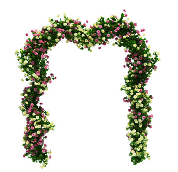 3d Render Brush Tree Isolated  on white