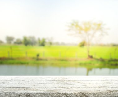 Masa üstü ve arka plan bulanıklık doğa
