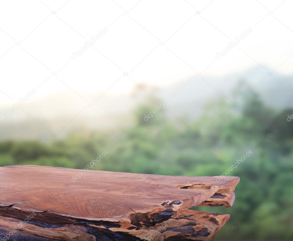 Table Top And Blur Nature Background Stock Photo Image By C Nuttapoldpspt