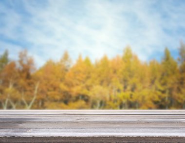 Masa üstü ve arka plan bulanıklık doğa