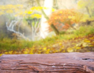 Masa üstü ve arka plan bulanıklık doğa