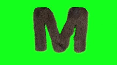 Soyut kıllı harf M tüylü tüylü alfabe yeşil ekran krom anahtar animası işareti