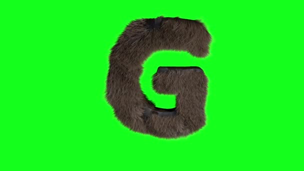 Abstract Hairy Letter Sign Fluffy Furry Alphabet Green Screen Chroma — Stock Video