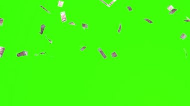 Düşen Pounds (Yeşilekranda Döngü)